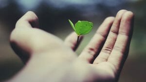 Longevity mindset is a key for a long and healthy life