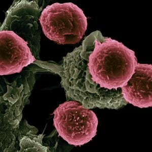 Cancer is an age-related diseases, meaning its risk increases rapidly with age.