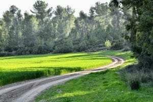 Four longevity pathways are underlying our aging process.