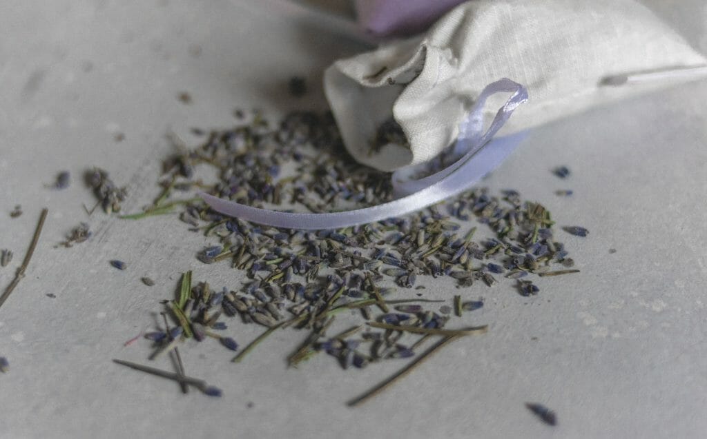 the scent of lavender can promote relaxation and reduce anxiety