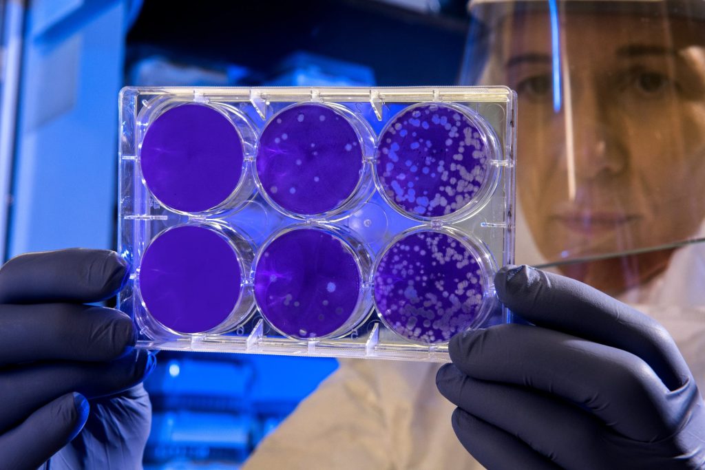 Research in the field of stem cells and longevity continues to break new ground, uncovering the role of these cells in extending healthy lifespan.