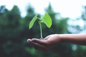 How to cultivate longevity mindset