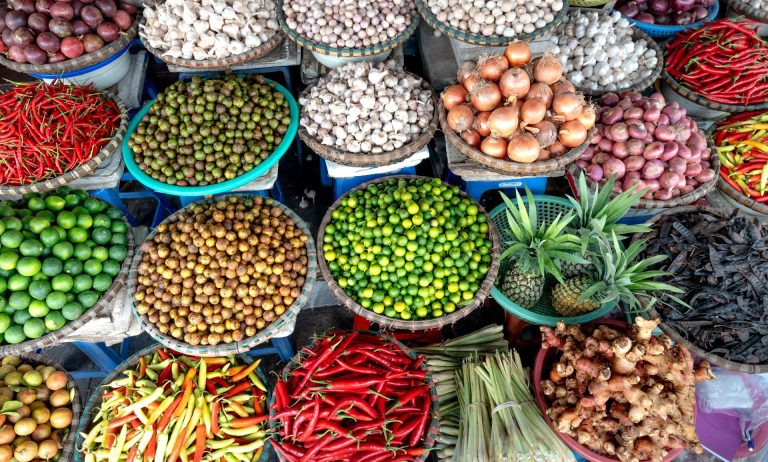 Nutrition for longevity