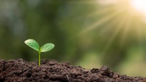Exploring the deep-seated relationship between nutrition and cancer risk, this post delves into key takeaways from Dr. Hyman's podcast episode, shedding light on how our dietary and lifestyle choices can influence our health and potentially modulate our risk of cancer.