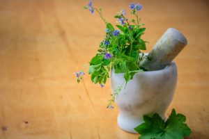 Could Plant-Based Medicine Be the Future of Anti-Aging Therapy?